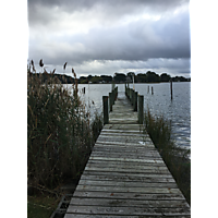 King tide Chesapeake image